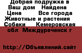 Добрая подружка,в Ваш дом!!!Найдена › Цена ­ 10 - Все города Животные и растения » Собаки   . Кемеровская обл.,Междуреченск г.